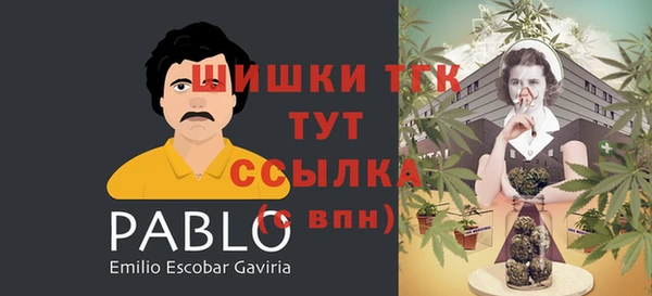 герыч Вяземский