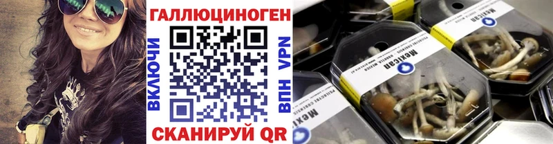 купить наркоту  Елец  Галлюциногенные грибы Psilocybine cubensis 