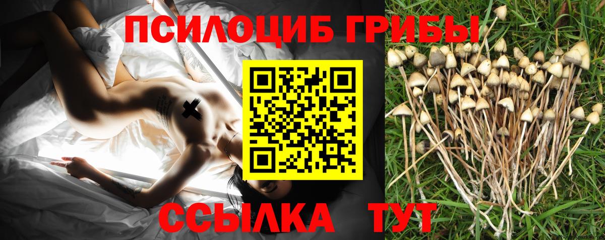 Елец  Галлюциногенные грибы прущие грибы  Вход с VPN 